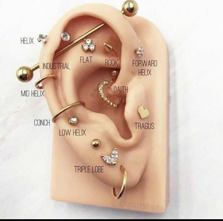 Ear Piercing Types Diagram